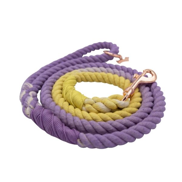 Dog Rope Leash - Dukes - Image 4