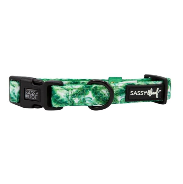 'Verano' Dog Collar