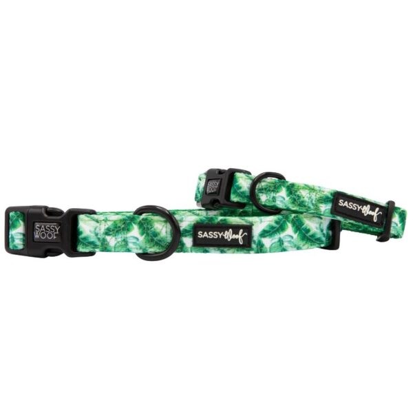 'Verano' Dog Collar - Image 3