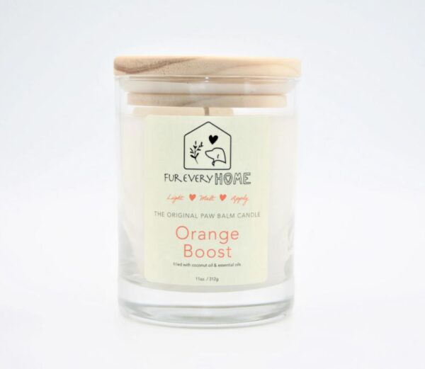 Orange Boost Dog Paw Balm Candle - Image 3