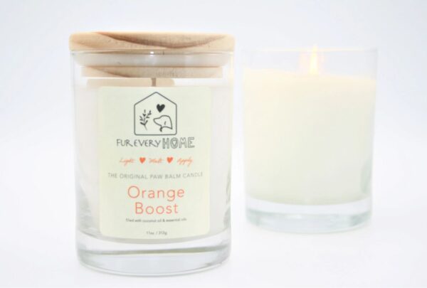 Orange Boost Dog Paw Balm Candle - Image 4