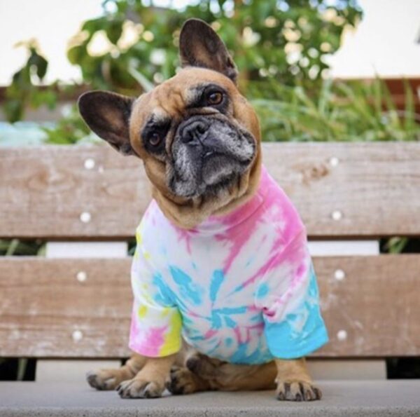 Tie Dye Tee, Neon Swirl - Image 4