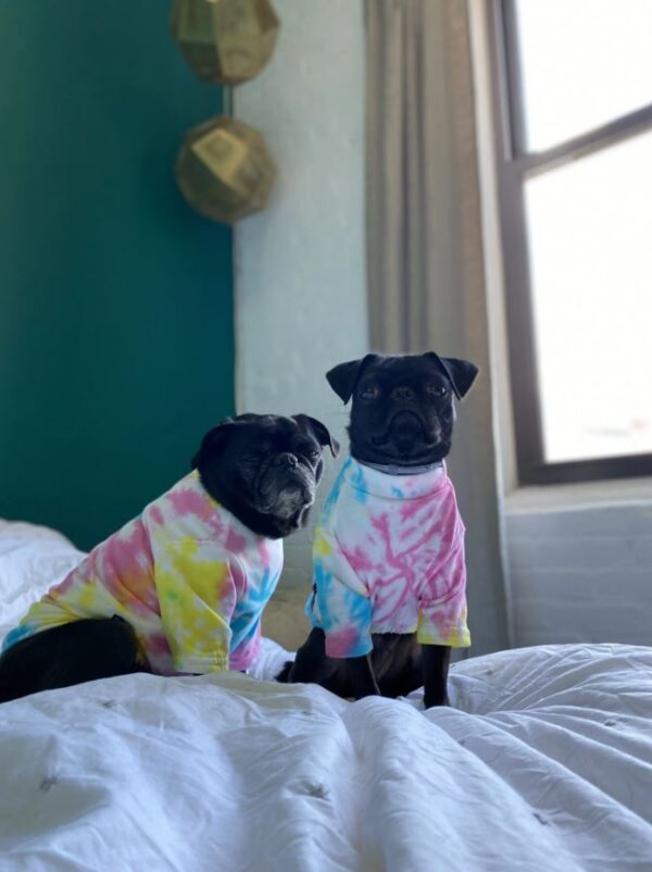 Tie Dye Tee, Neon Swirl - Image 5