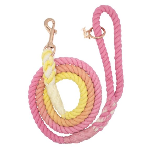 Dog Rope Leash - Sunkissed