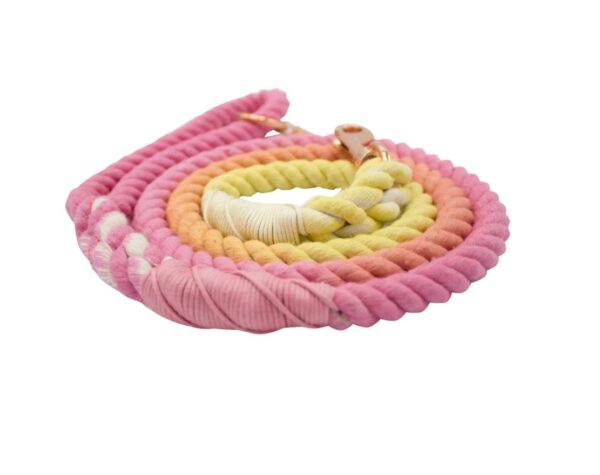 Dog Rope Leash - Sunkissed - Image 4