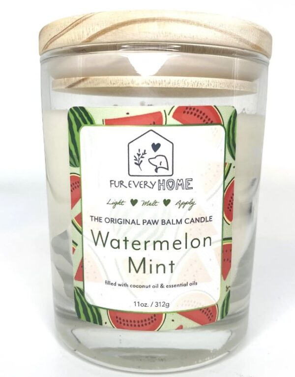 Watermelon Mint Dog Paw Balm Candle - Image 2