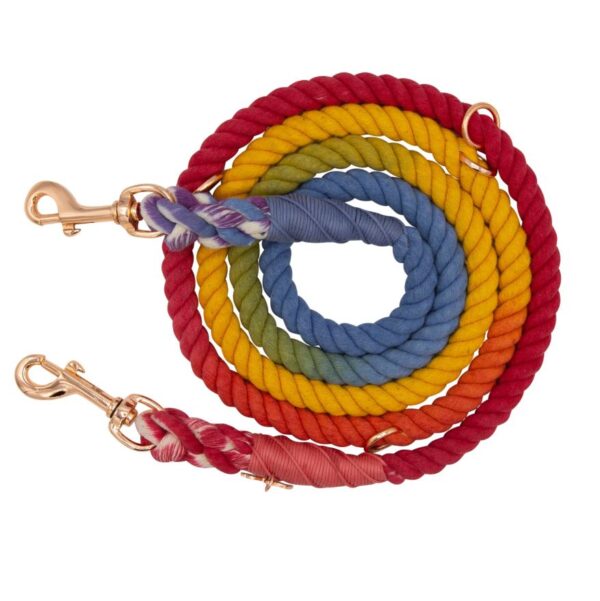 Hands-Free Dog Rope Leash - Taste The Rainbow