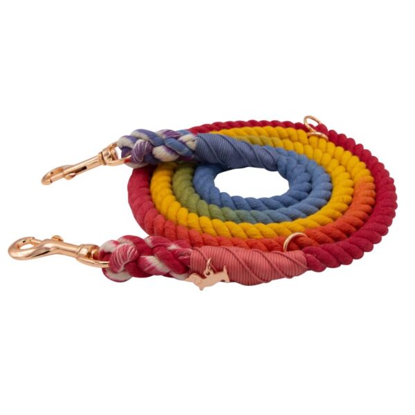Hands-Free Dog Rope Leash - Taste The Rainbow - Image 2