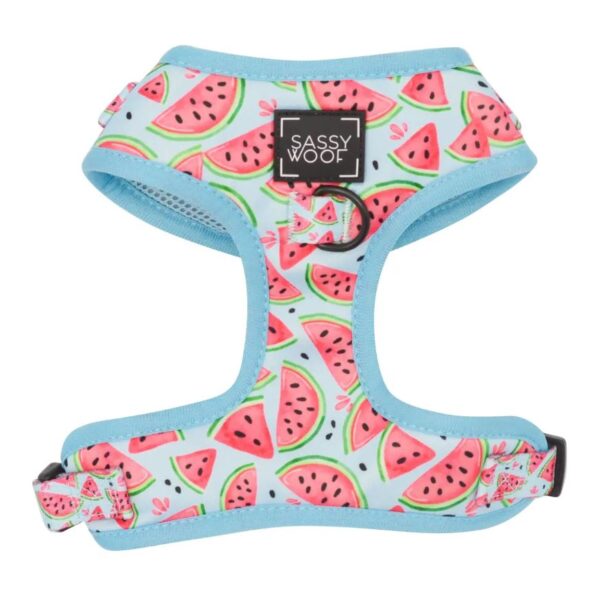 'Oh My Melons' Bundle (2 Piece) - Image 3