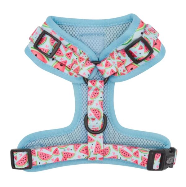 'Oh My Melons' Bundle (2 Piece) - Image 4