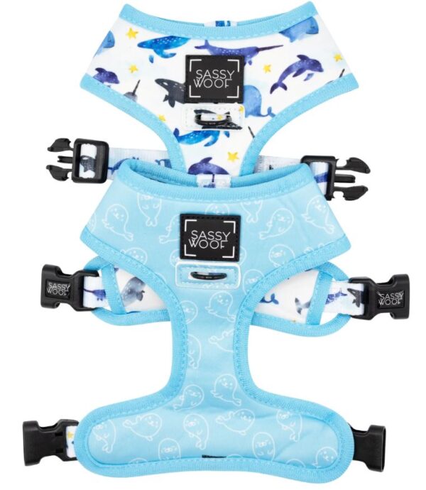'Whale, Hello There' Reversible Dog Harness - Image 3