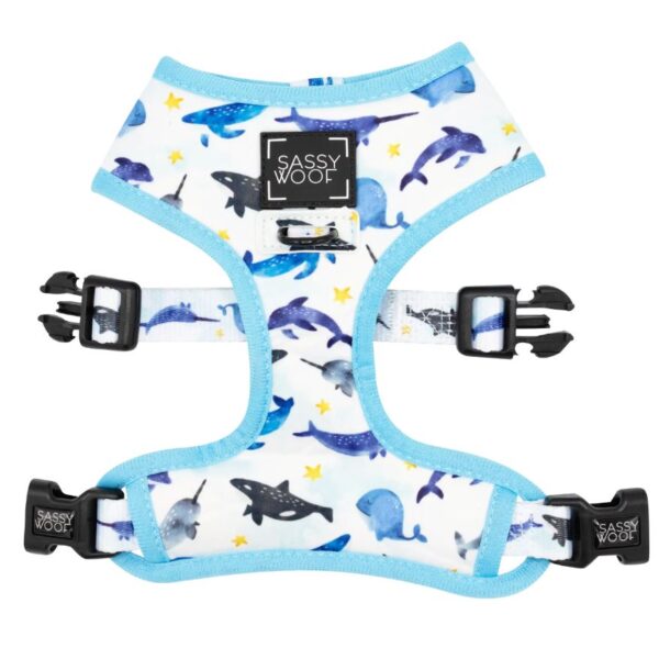 'Whale, Hello There' Reversible Dog Harness - Image 4