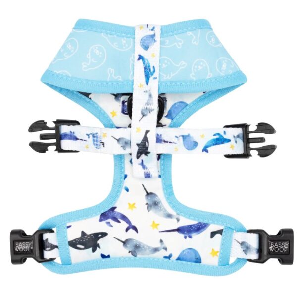 'Whale, Hello There' Reversible Dog Harness - Image 5