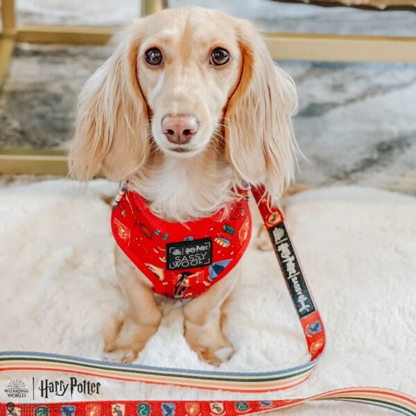'Harry Potter' Adjustable Dog Harness - Image 6
