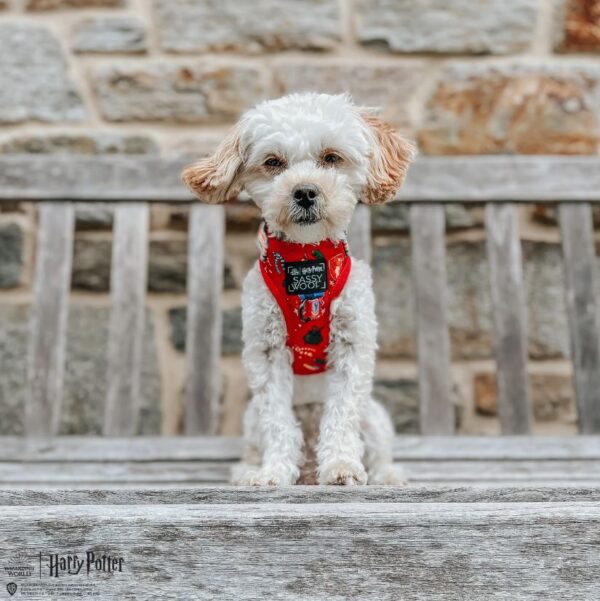'Harry Potter' Adjustable Dog Harness - Image 7
