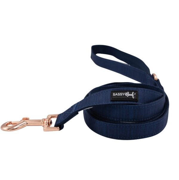 Leash - Twilight - Image 3