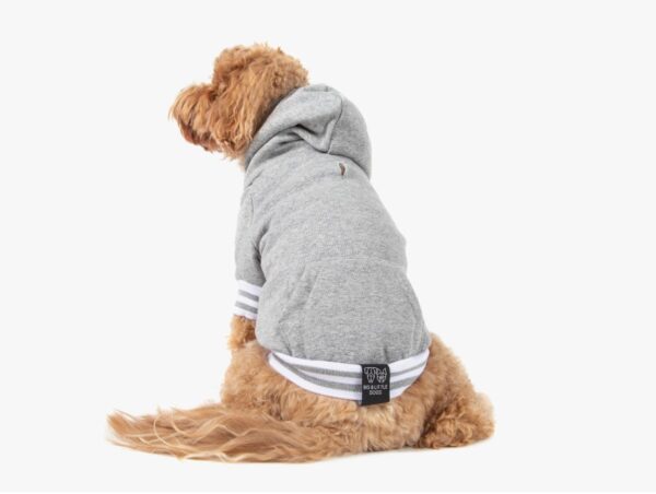 Dog Hoodie Jumper - Image 6