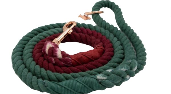 Rope Leash - Noel - Image 3