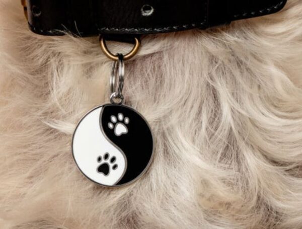 Yin Yang Pet ID Tag - Image 3