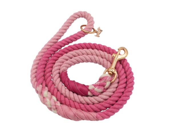 Dog Rope Leash - Hibiscus - Image 4